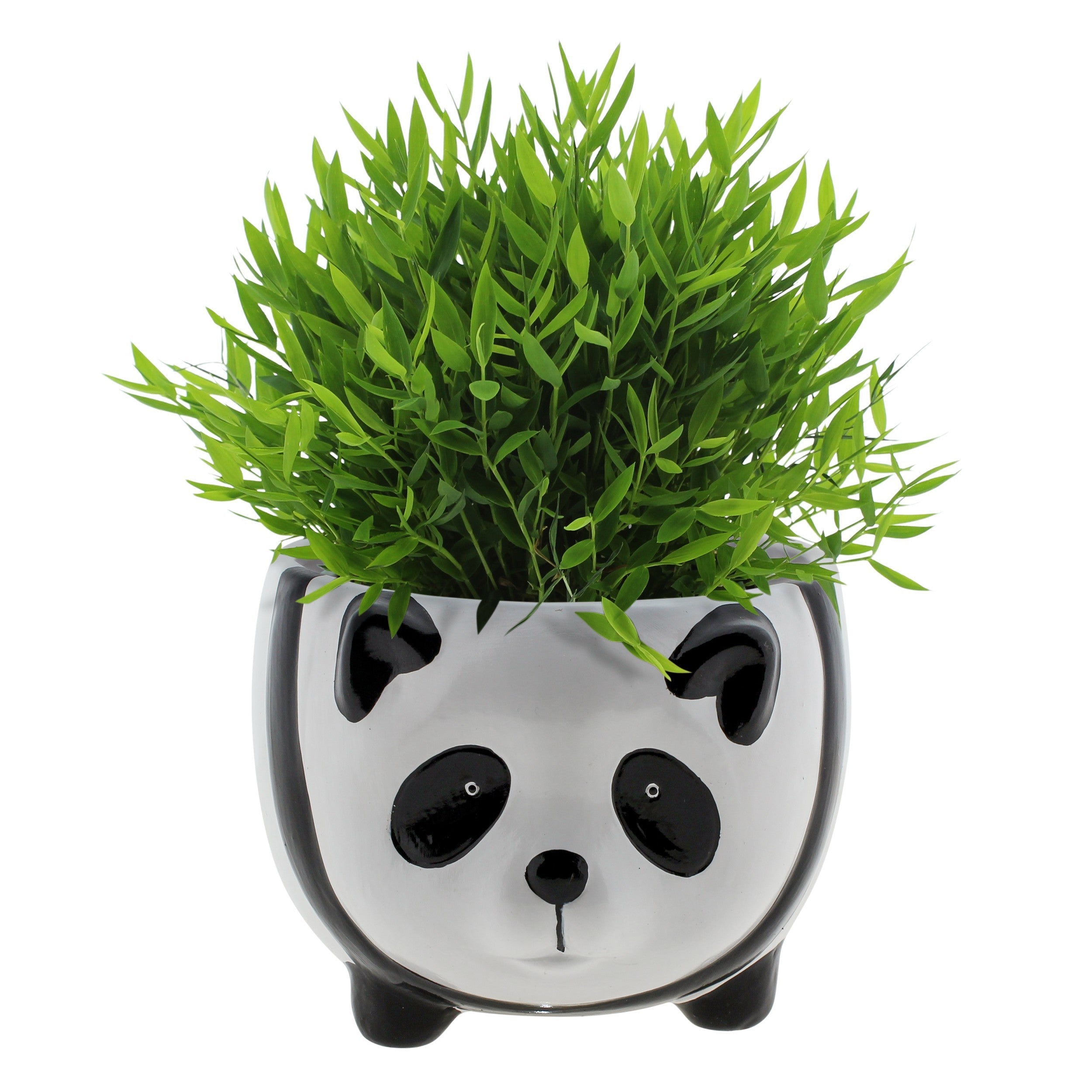 Pogonatherum Monica Keramiek Panda