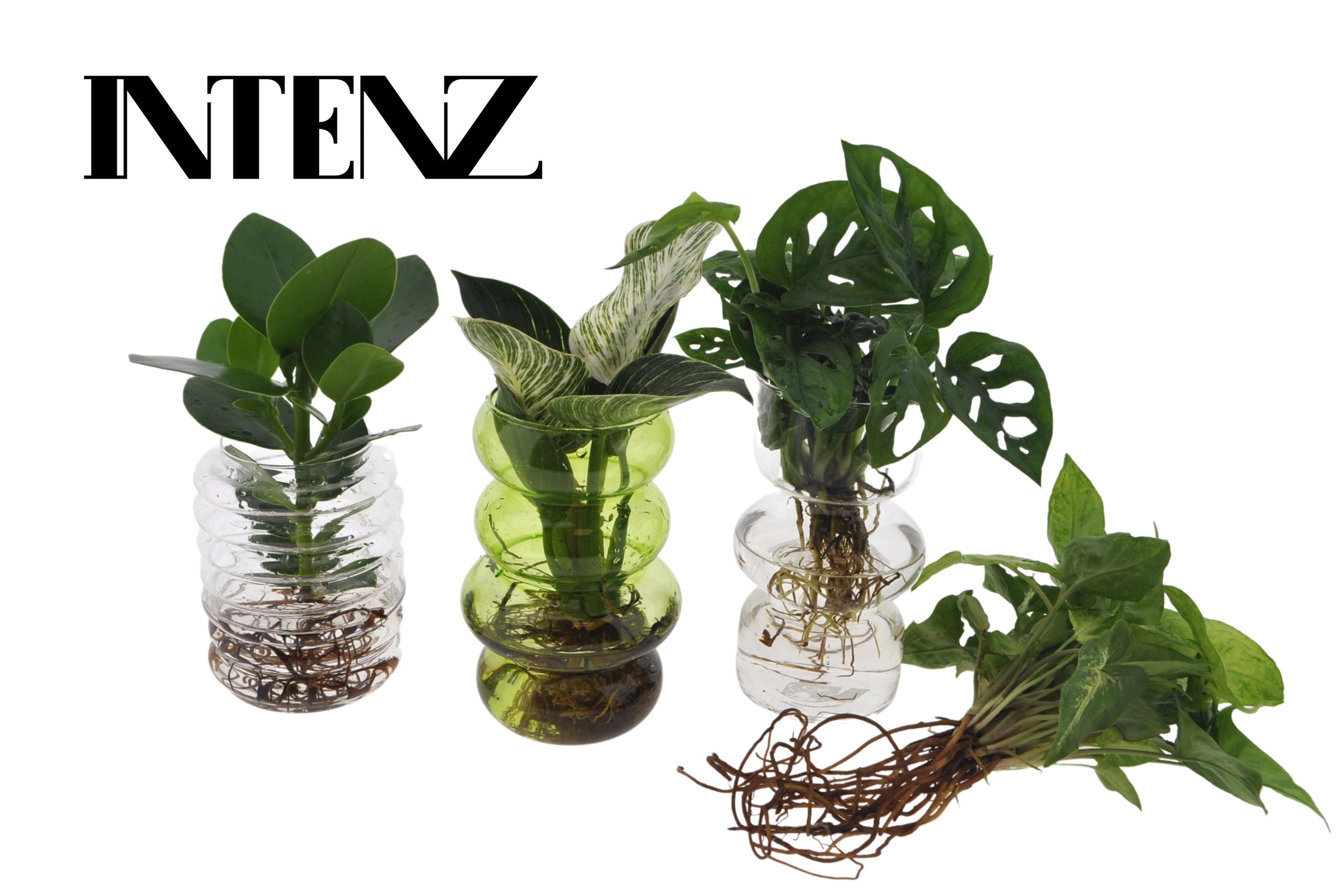 Opm Intenz Gemengd Glas Valencia