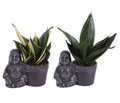 Sans Tri Gemengd Keramiek Buddha