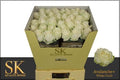 Rose Avalanche SK