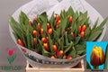 Tulip En Residence