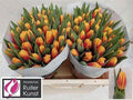 Tulip En Bombita