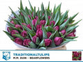 Tulip Du Alison Bradley
