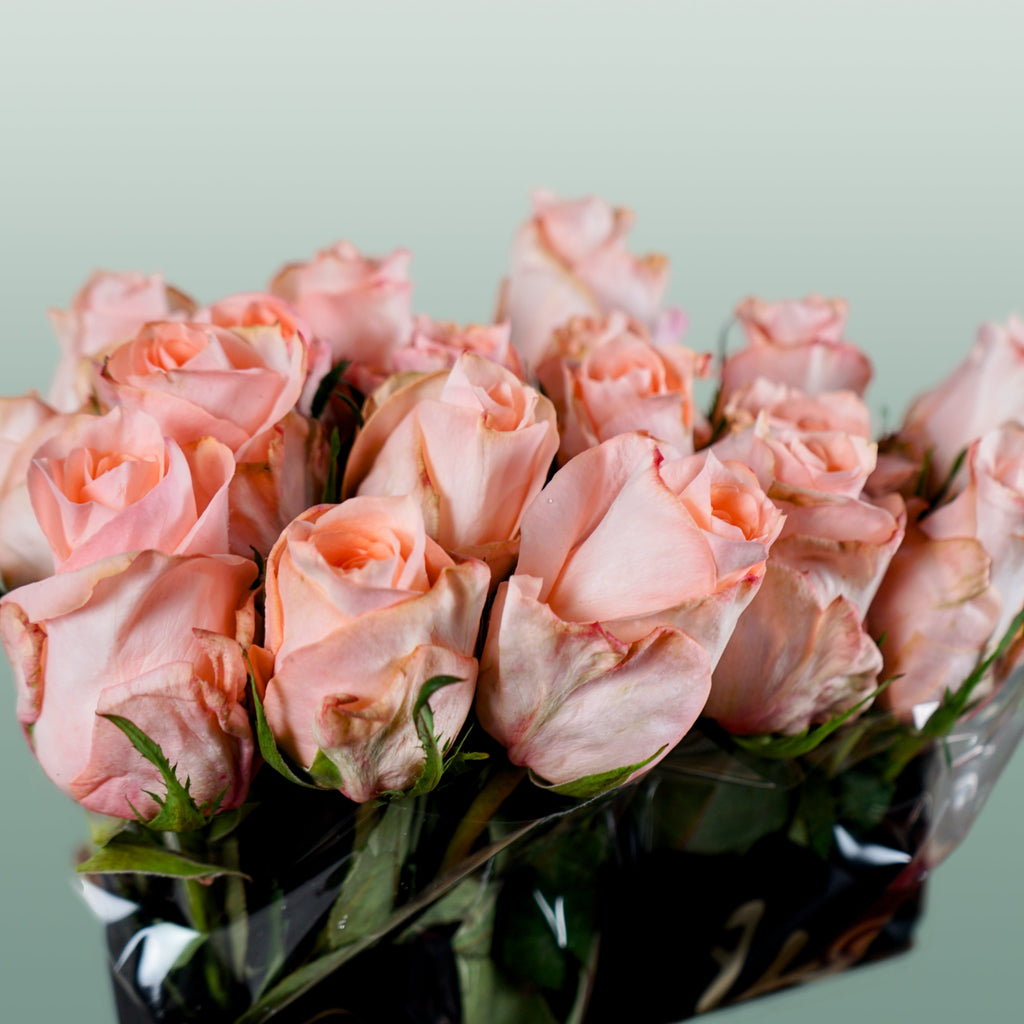 Rose Baby Doll