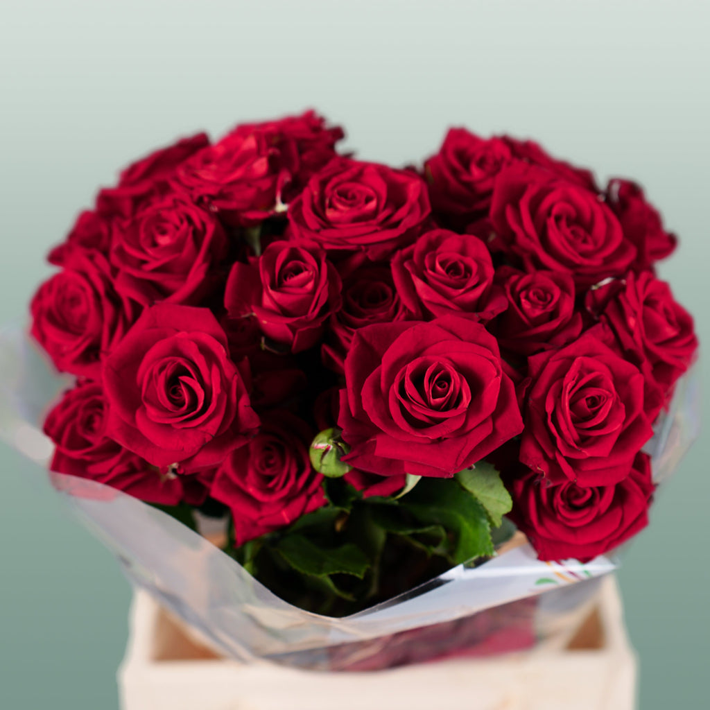 Spray Rose Dominica