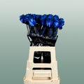 Rose Dyed Blue