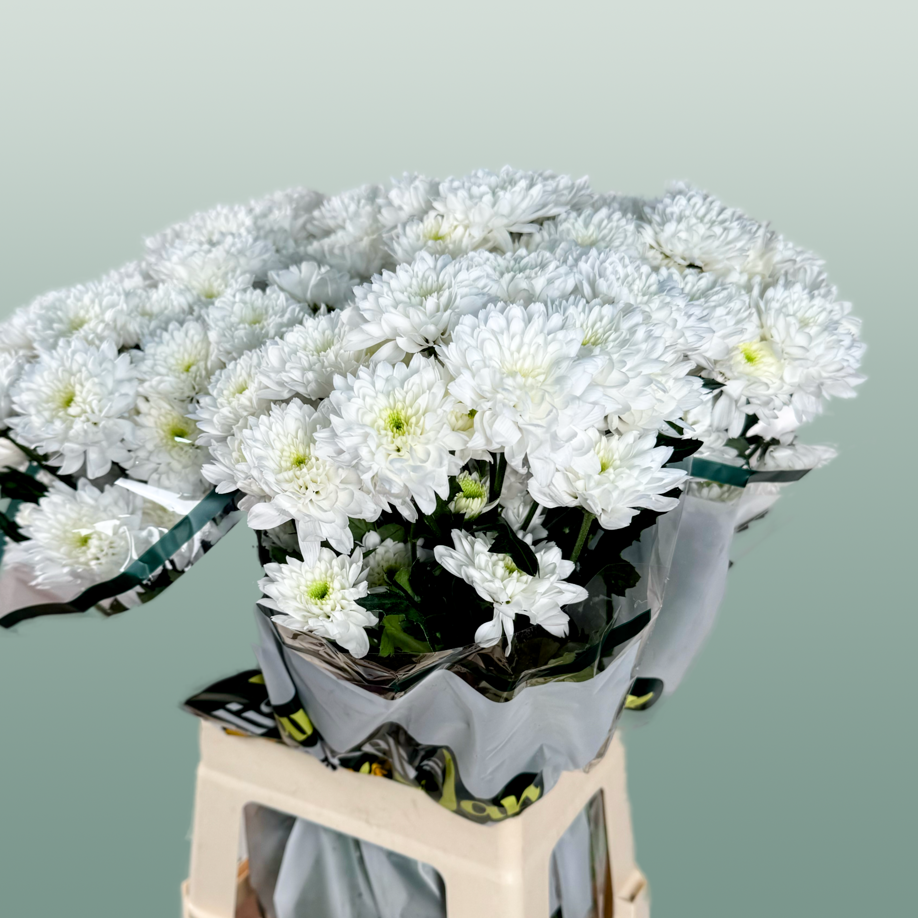 Chrysanthemum Spray Euro White