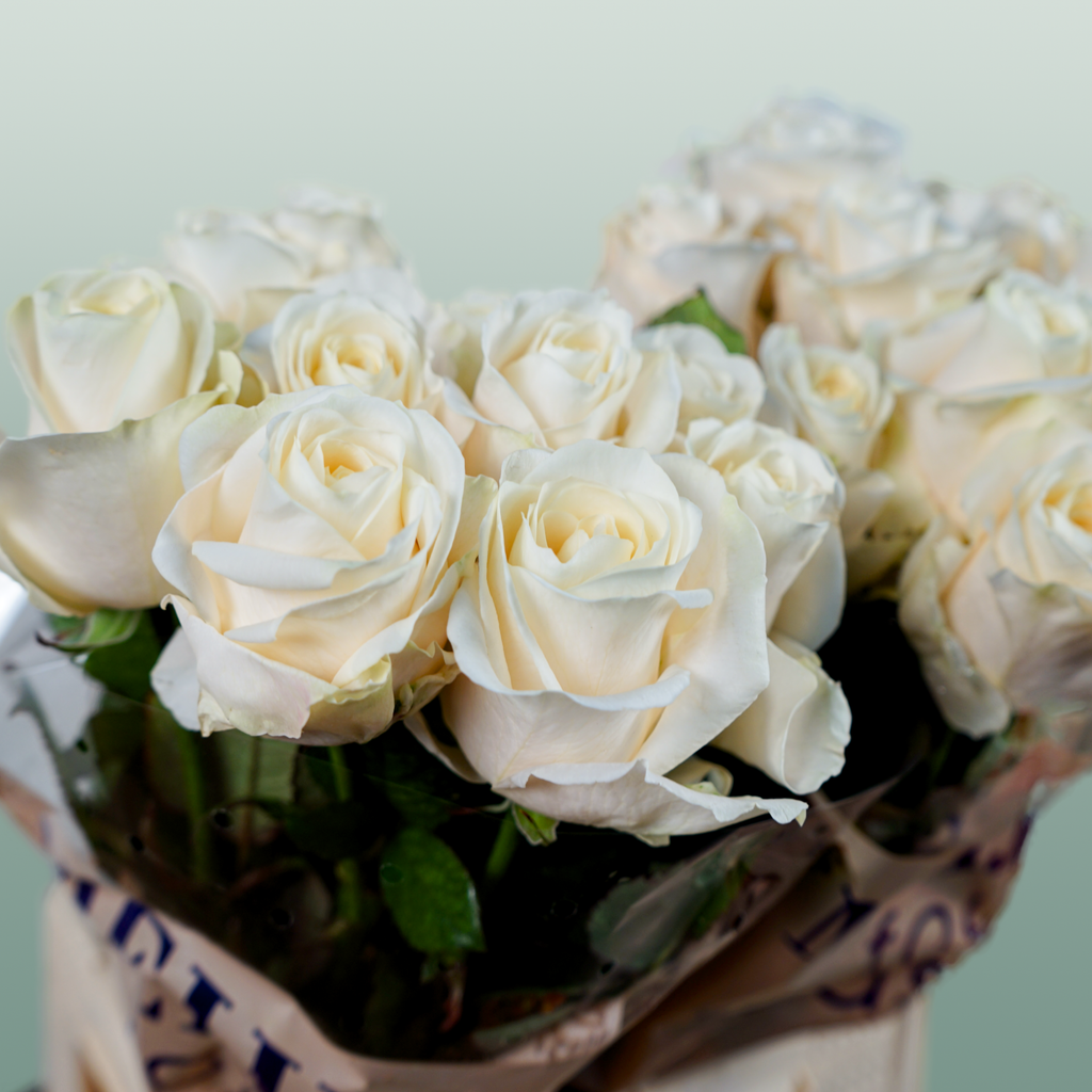 Rose Four Seasons