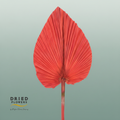 Dried Bleached Palmetto Red