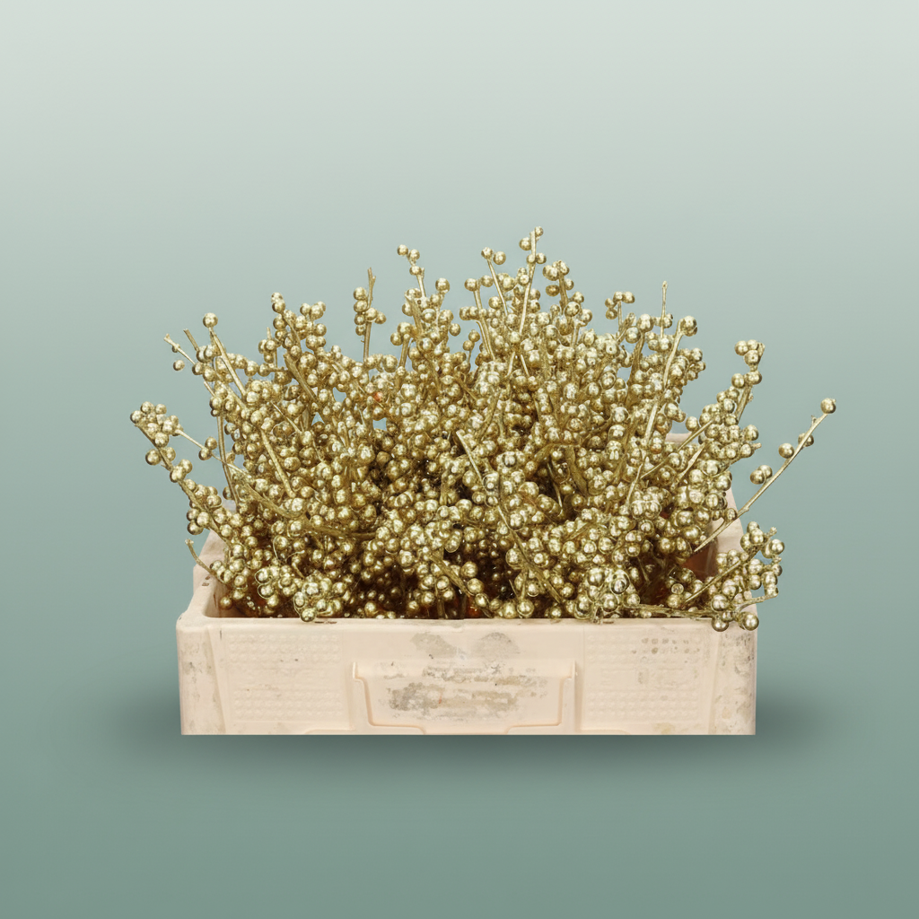 Wax Ilex Xl