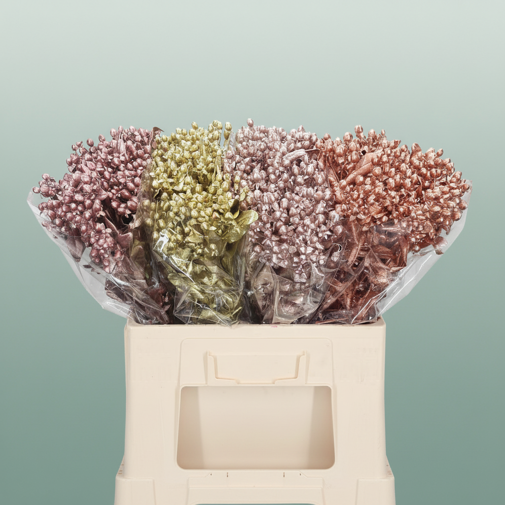 Wax Hydrangea