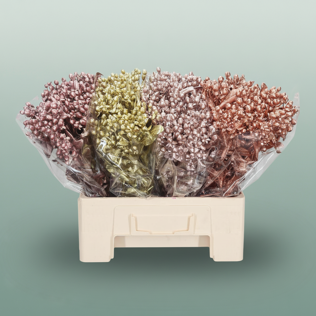 Wax Hydrangea