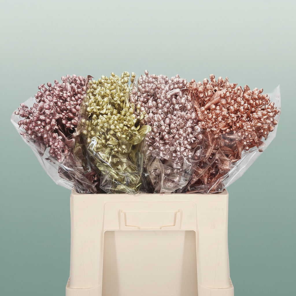 Wax Hydrangea