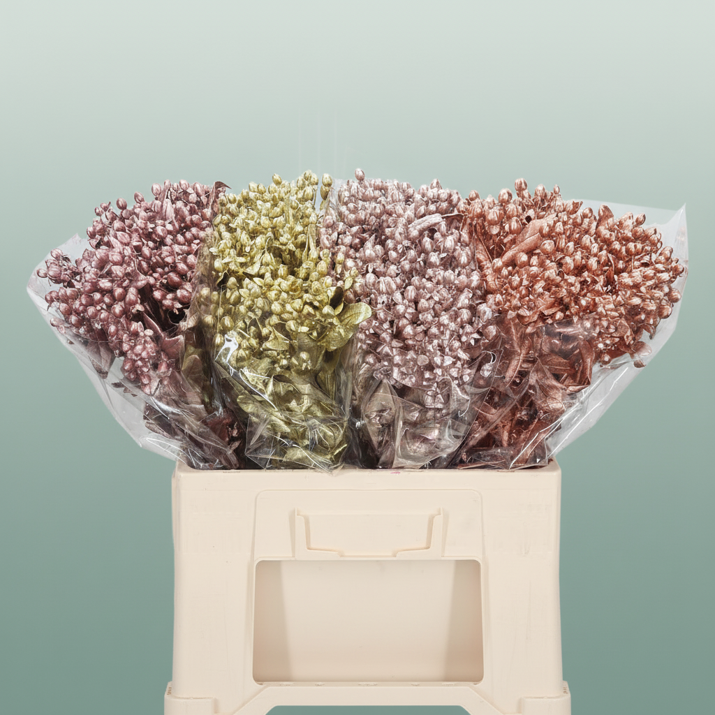 Wax Hydrangea