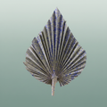 Dried Artz Palm Spear Xl Matisse