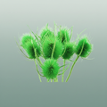 Dried Cardi Light Green