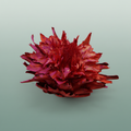 Dried Artz Cynara Heads Monet