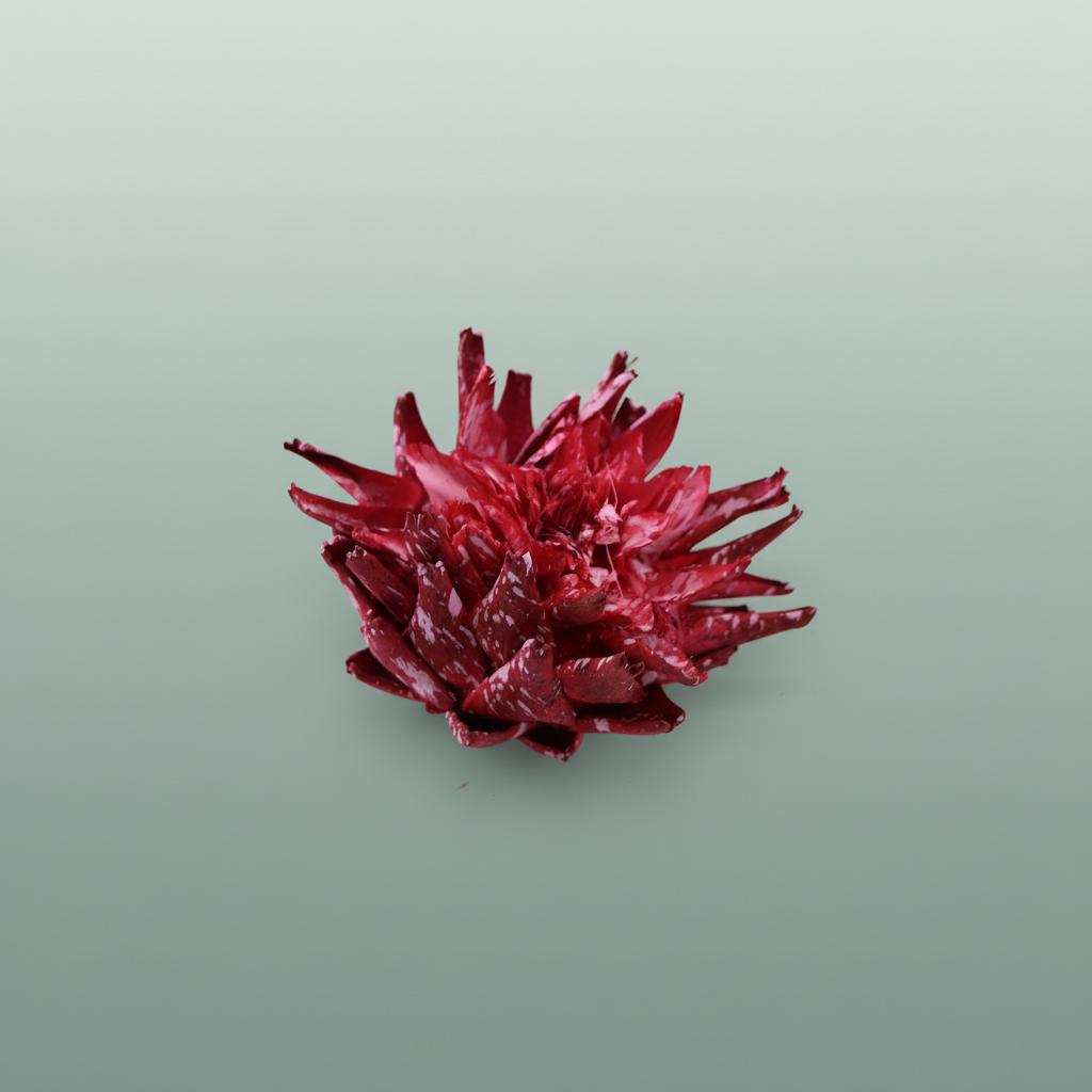 Dried Artz Cynara Heads Rembrandt