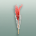 Dried Stipha Feather Cerice Large
