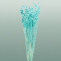 Pres Eryngium Mini Baby Blue