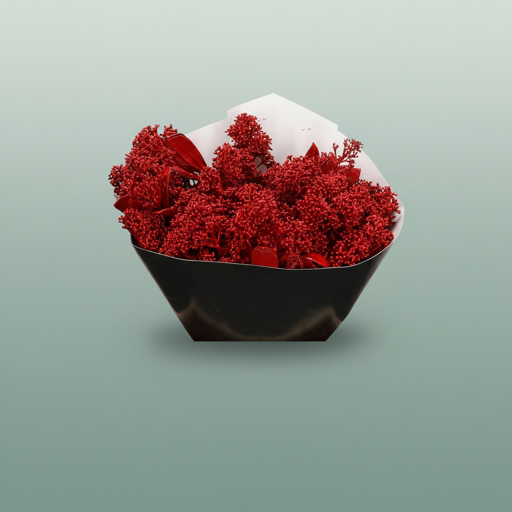Wax Skimmia