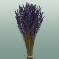 Pres Lavendel Dark Blue Super