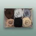 Rose Preserved Classic Mix Earth
