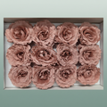 Ro Pres Rom Mini Pink Dusty