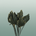Dried Palm Spear Olive Gold