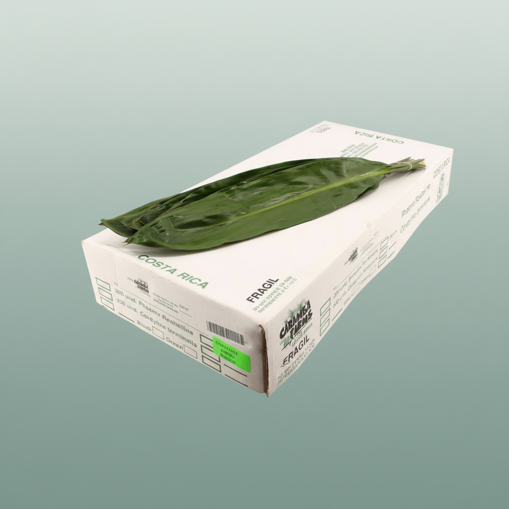 Cordeline Green Tie