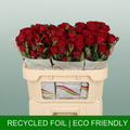 Spray Rose Red Trendsetter