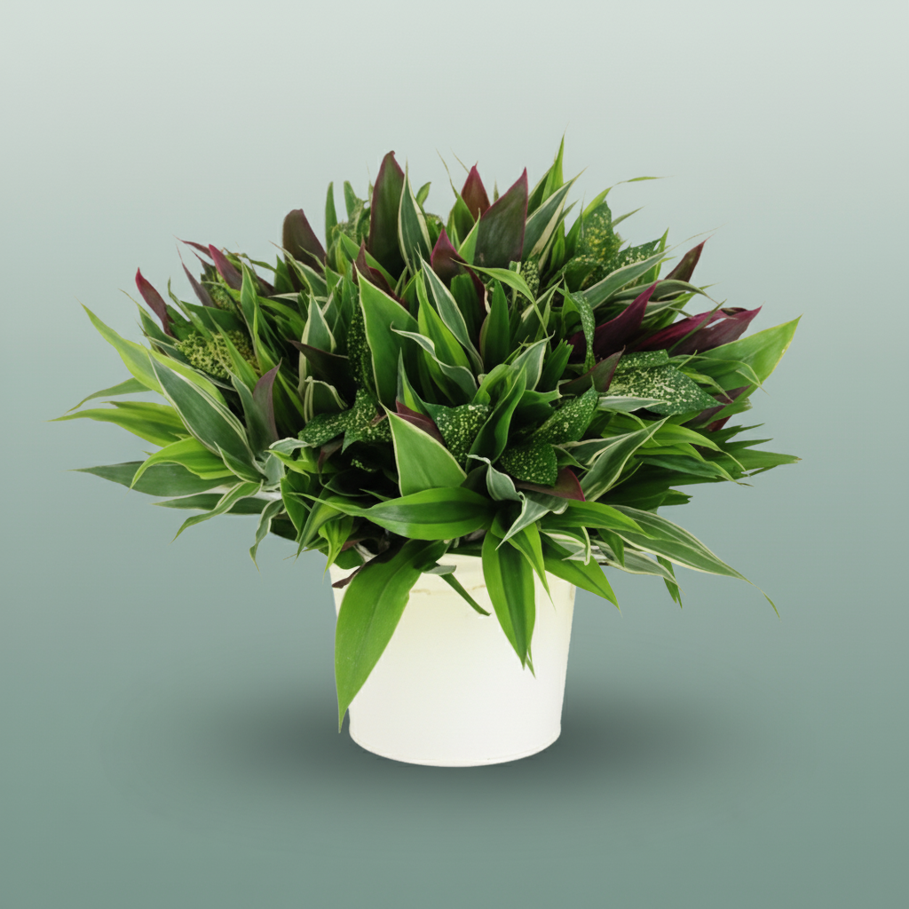 Asia Foliage Mix