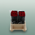 Rose Eq Freedom
