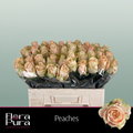 Rose Peaches