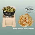 Tulip Dyed Double Soft Caramel