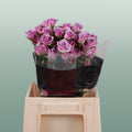 Spray Rose Leila