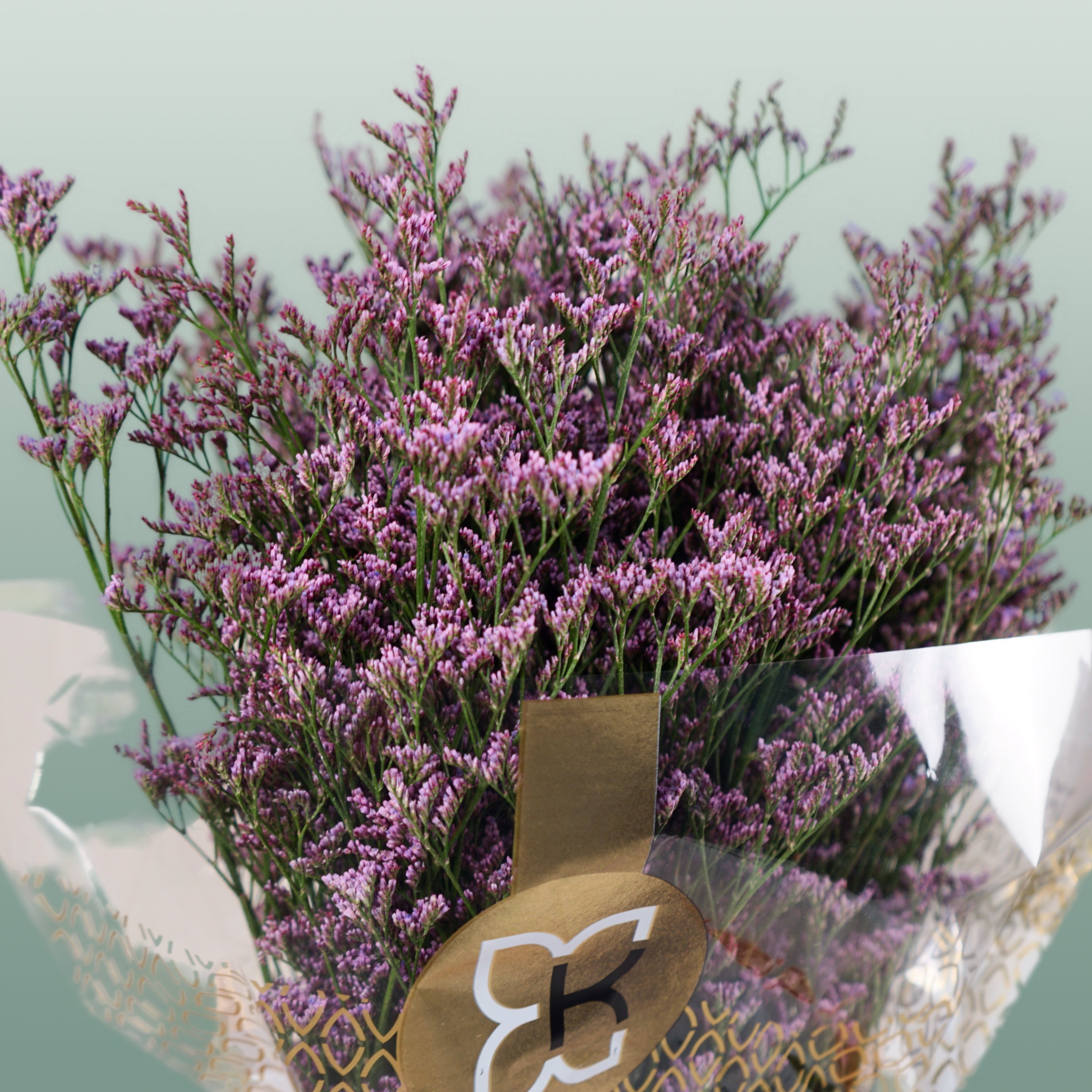 Limonium Safora Dark Blue (25 Stems)