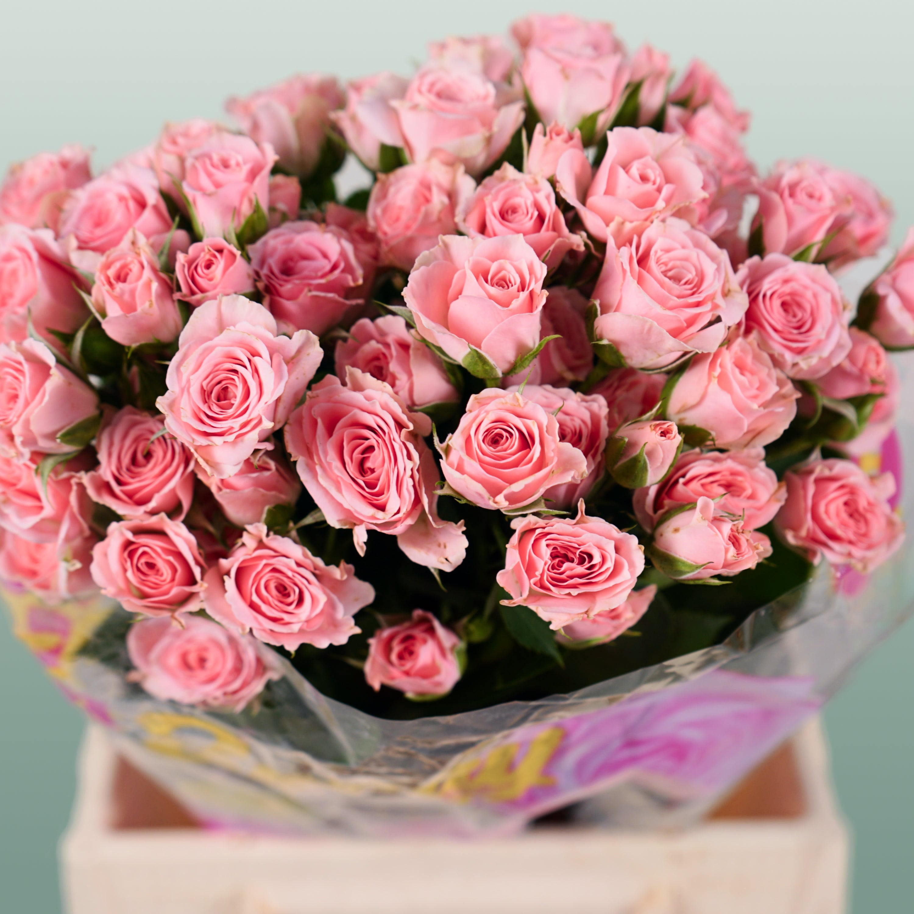 Spray Rose Lydia