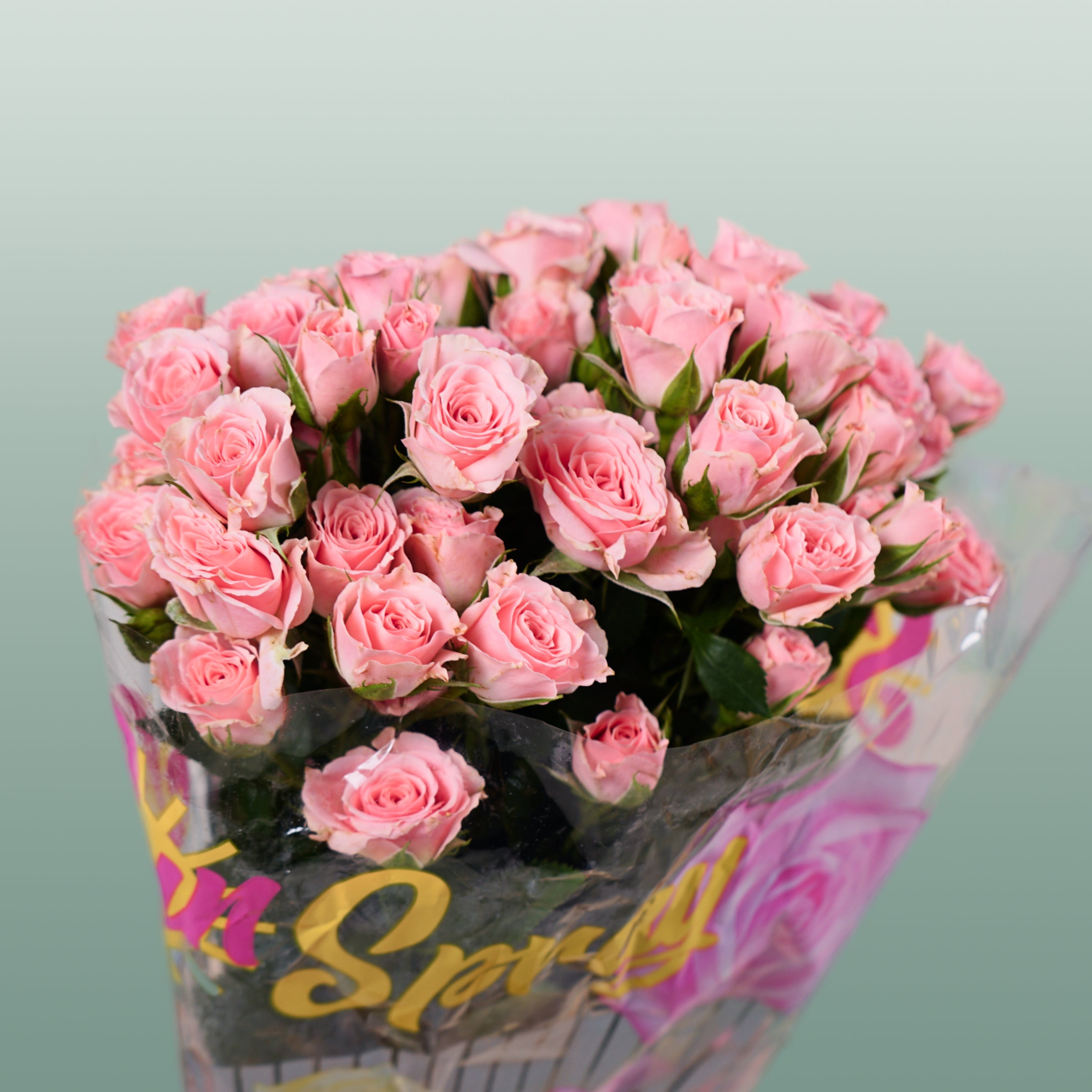 Spray Rose Lydia