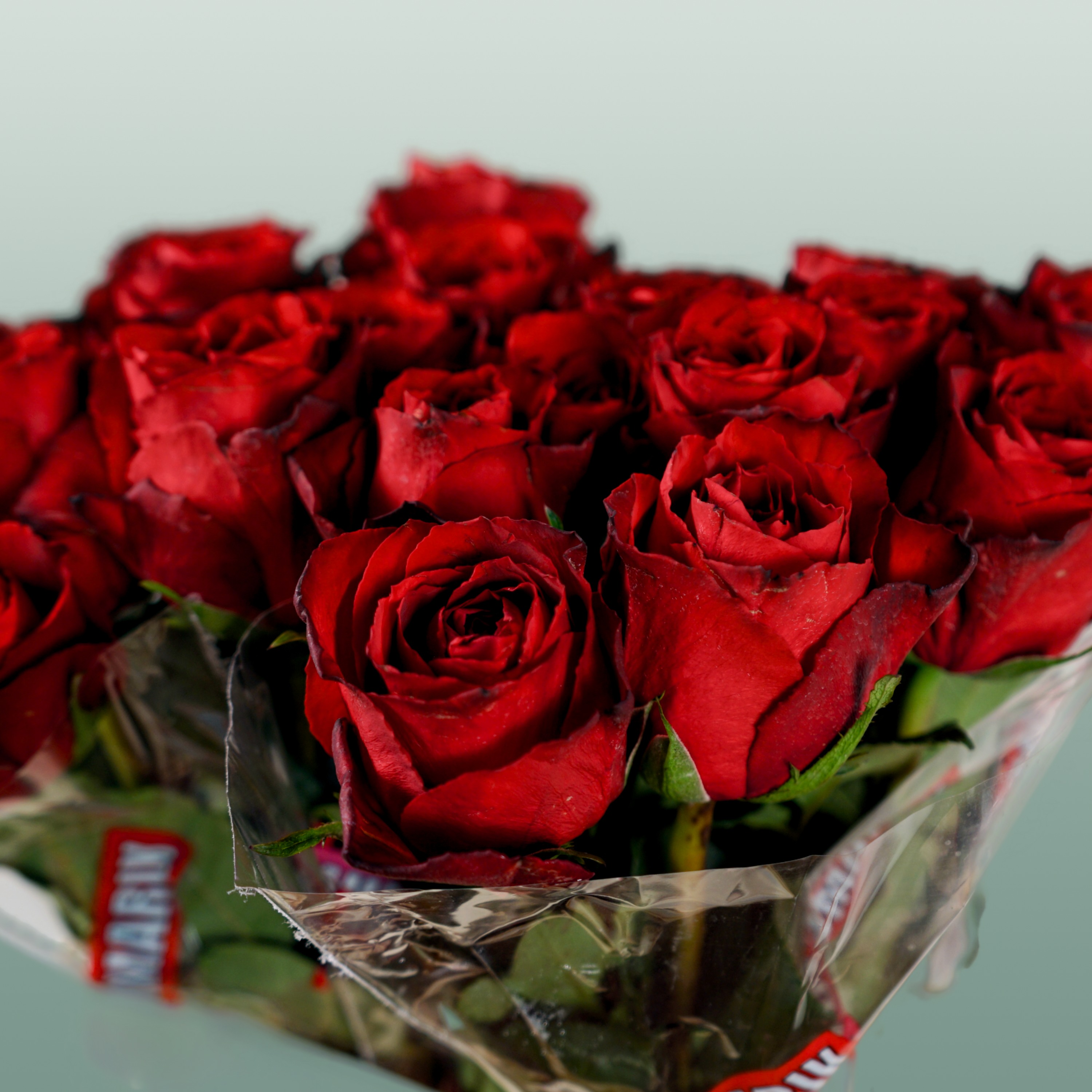 Rose Madam Red (20 Stems)