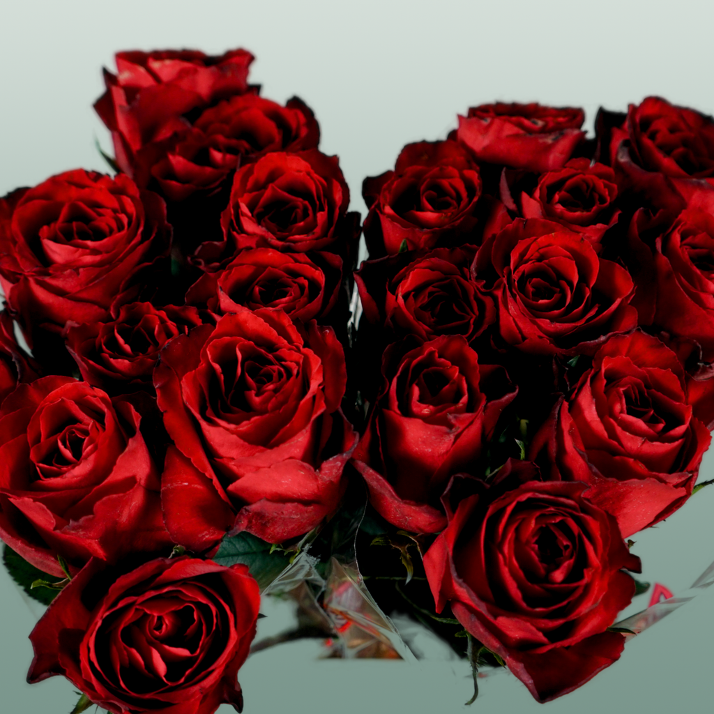 Rose Madam Red (20 Stems)