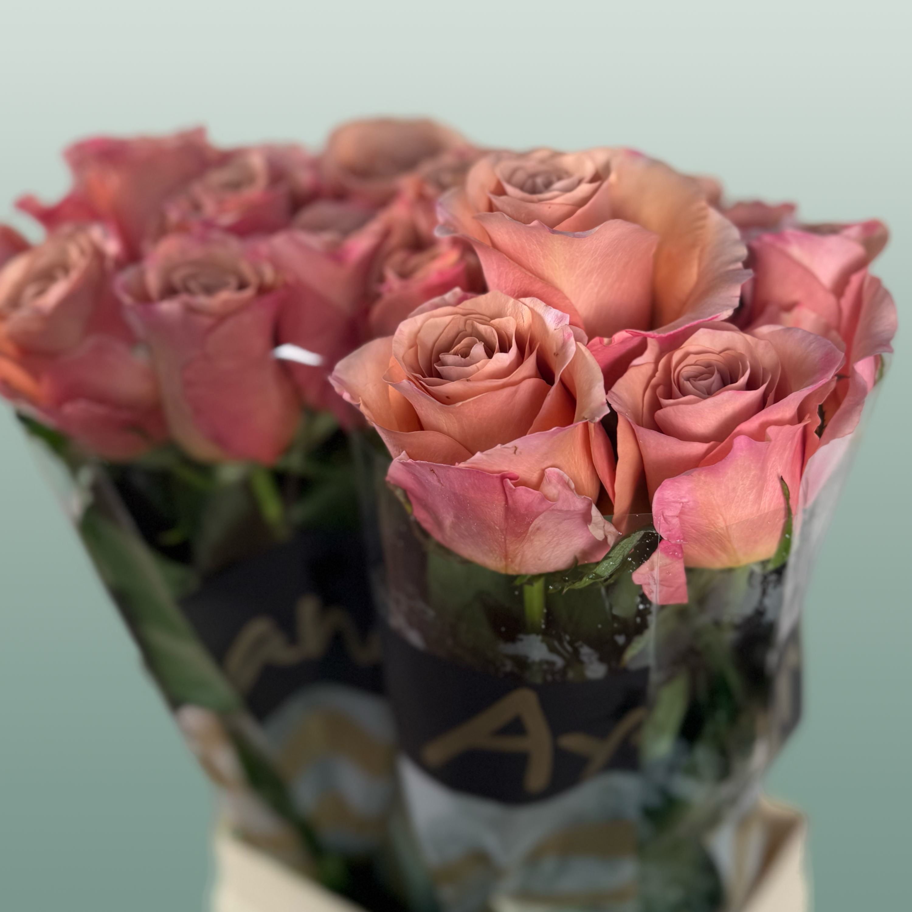 Rose Moccachino