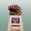 Spray Rose Odilia