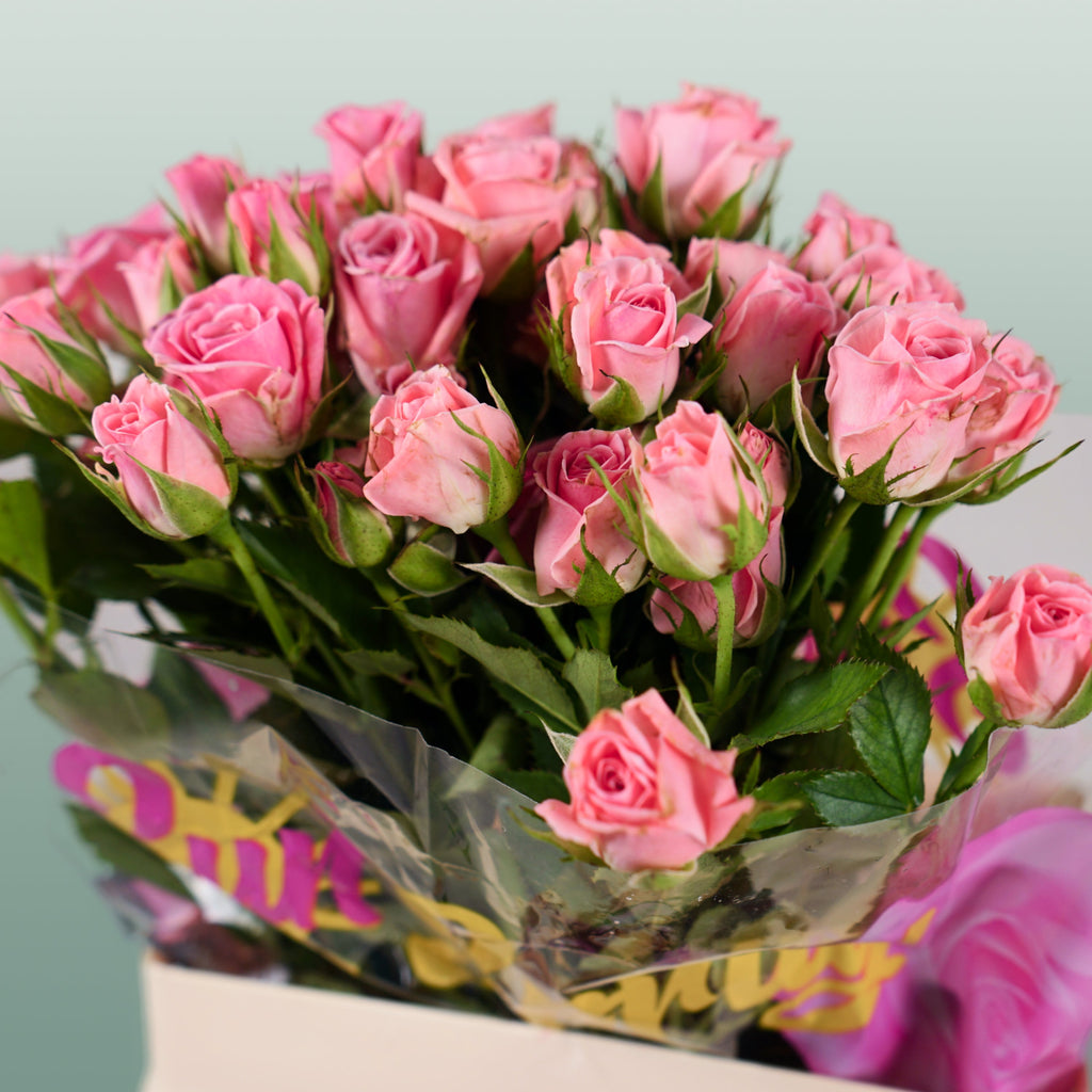 Spray Rose Odilia