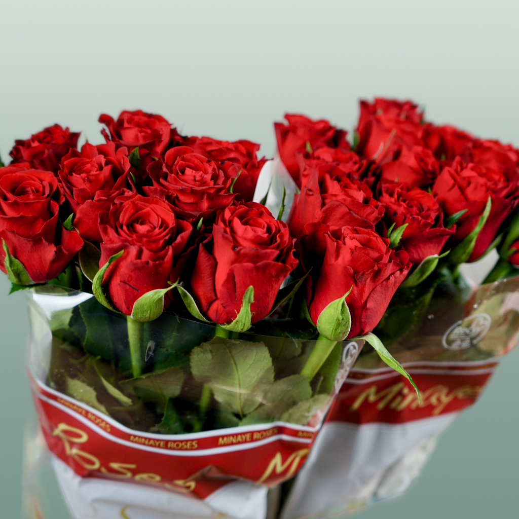 Rose Red Torch