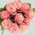 Rose Adele