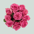 Rose Kiss Me Kate
