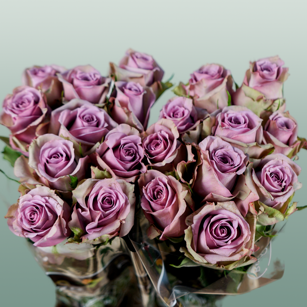 Rose Samantha Bridal