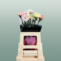 Carnation Standard Mix Wedding
