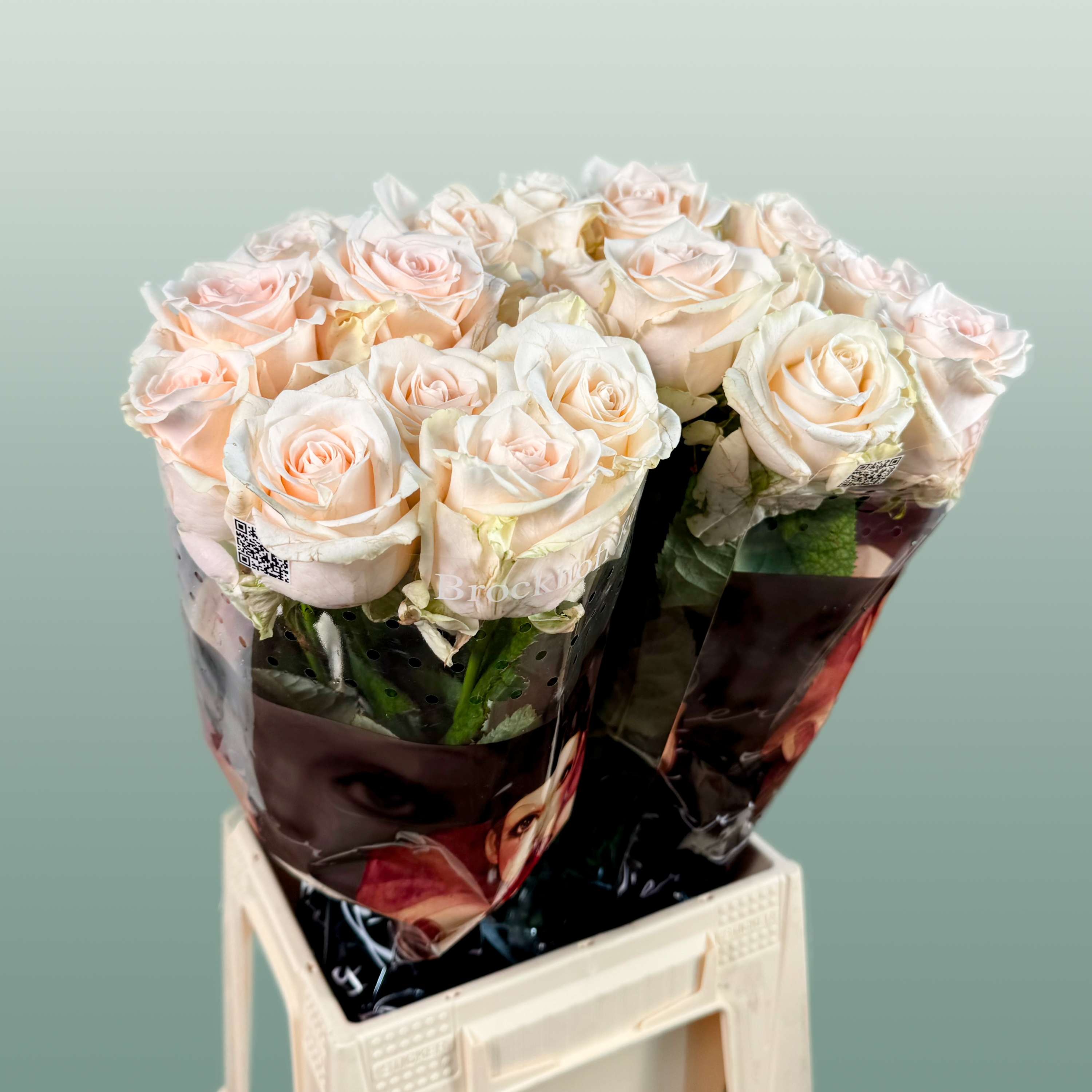 Rose Sweet Caroline